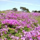 명동주유소 이미지