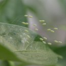 재송초등학교 이미지