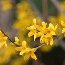 S.H 신흥태권도 이미지