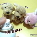 예그린약국 이미지