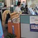 대양면사무소 이미지