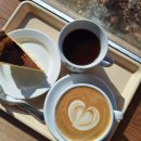 금강오픈케어 | 세종 감성카페 카페리즌 금강수목원 방문 후 데이트하기 좋은 곳