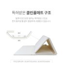 자이언트 클린 이미지