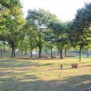 용하공원 화장실 이미지