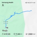 서봉지 공원 수중분 | 비 오는 날 등산 후기 - 문경 주흘산에서 만난 운해와 우중산행 꿀팁