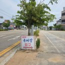 국밥집막내아들내이점 | ✨ [시흥 주차 편한 맛집] 신현동 맛집 '육혜장'에서 미나리 듬뿍! 온 가족이 반한 신천동 국밥 찐후기 🍲