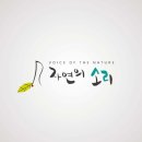 울림디자인 이미지