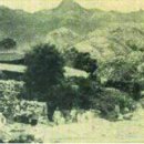 역촌동 75-16 | 서울에 중인은 얼마나 살았을까 [조선후기 신지식인 한양의 中人들] (24)