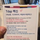 우리동네 김치과의원 | 임산부 백일해 주사 접종 시기, 동탄제일병원 백일해 접종 후기
