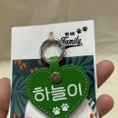 커스텀 듀오 강아지 인식표 구매 후기 / 내돈내산