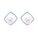 아도니스 이미지