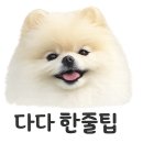 두부네 애견카페 | 강릉 쵸딩 초당옥수수푸딩 카페｜애견동반 불가, 포장 후기