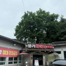 정가차이나 이미지