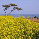 대변해변2 이미지