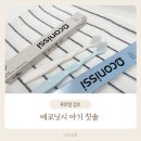 닛시 | 친환경 유아칫솔 추천 💚 에코닛시 아기 국산 칫솔 세트 사용 후기