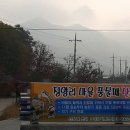 정양리 마을회관 티스토리