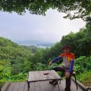 게으른 악어 이미지