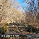 휴양림길 | 🍁 가을 단풍 명산, 충북 영동 민주지산 등산코스 후기 (물한계곡 코스)