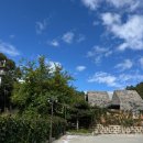 (주)반스힐리조트 주6동 | 홍천 애견동반독채풀빌라, 내돈내산 찐후기 반스힐리조트 25.9월에 다녀온 후기!