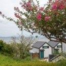 바다향기애 이미지