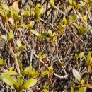 중마루공원 이미지