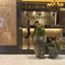 호텔김 | [일상] 야구 보러 대구 간 김에 쓰는 호텔인터불고 대구 후기