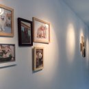 사랑의동물병원 이미지