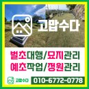 제주벌초