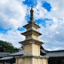 (주)성욱인터내셔널 | 경주 여행 후기(1)ㅣ가을에 걷기 좋은 불국사 대웅전 경주엑스포대공원 경주타워 주차 꿀팁