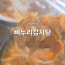234 | 경남 1박2일 여행 창원 맛집 뼈누리감자탕 내돈내산 재방문 후기 및 주차정보