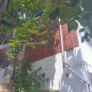 내곡동432 | 강남 강동 서초 송파 지붕 쥐 천장 쥐 퇴치작업