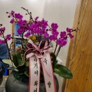 수원-0963 이미지