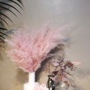 달이뜨면꽃이피고 이미지