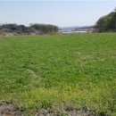 대월목장 이미지