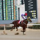 탐라슈퍼
