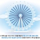 피카소안경원 이미지