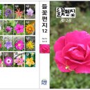 들꽃편지 이미지