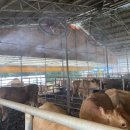 최재선 축사 이미지