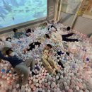 경희대 참태권도 이미지