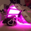 슬기로운 동물병원 이미지