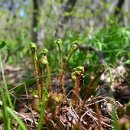 산수마을 이미지