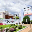 장수의 별밤 | 뮤지컬 수박수영장 창원 후기 잘 만든 어린이뮤지컬