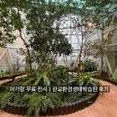 판교환경생태학습원 | 두돌아기랑 가기 좋은 무료 전시｜판교환경생태학습원 후기 (주말에도 한적해요)