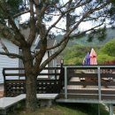 달이실펜션 이미지