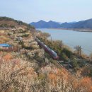 장터회관 | 내돈내산 가볼만한곳 맛집┃2026 양산 원동 매화축제 원동주말장터 수월산방 솔직후기