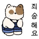 카페이내