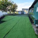 펫플러스라이프 이미지