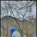 옥계리 팔각산 주차장 이미지