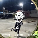 컵희 | 한화 포시/코시가서 흥분한 사람의 일상