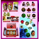 김기수 농장 이미지